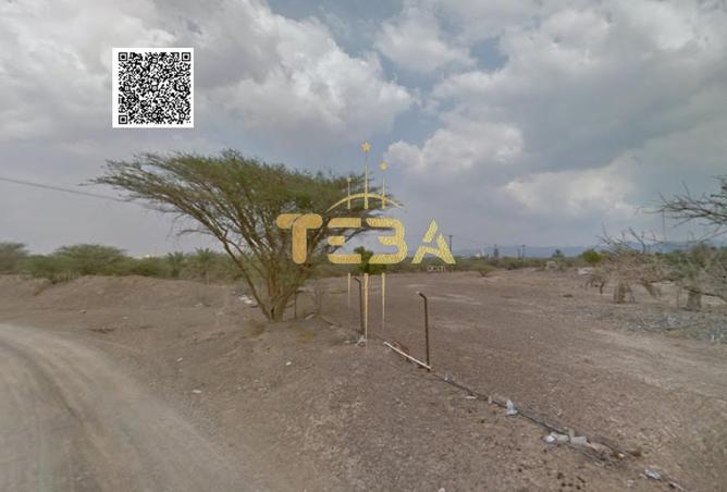 14862466 - صورة العقار 3