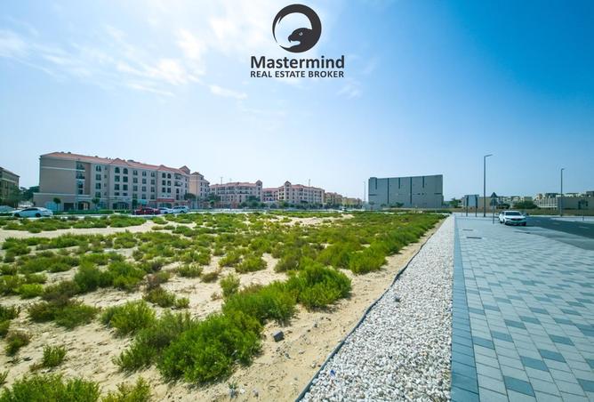 15895725 - Property Image 3