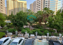 Beautiful 1 Bedroom Apartment in Sport City