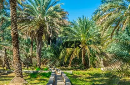 أرض - استوديو للبيع في الرحبة - المنيرة - شاطئ الراحة - أبوظبي
