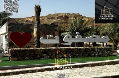 أرض - استوديو للبيع في مصفوت 8 - مصفوت - عجمان