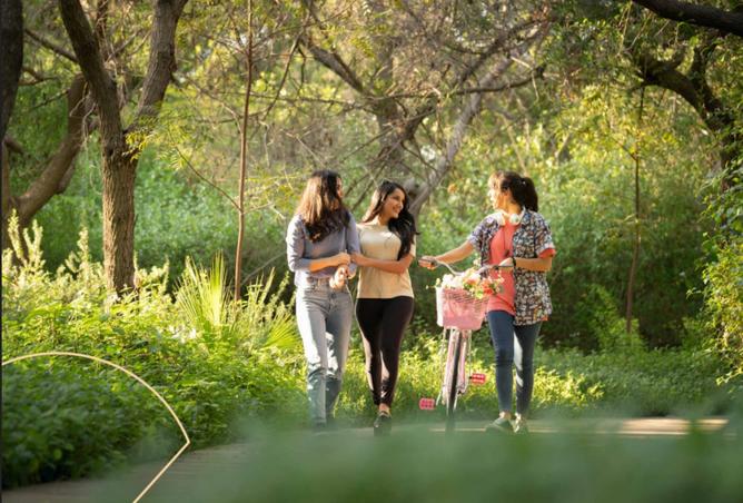 16046647 - صورة العقار 3