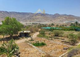 Bulk Sale Unit - 2 bathrooms for sale in Al Farfar - Fujairah Mountain View image for: Bulk Sale Unit - 2 bathrooms for sale in Al Farfar - Fujairah, Image 1