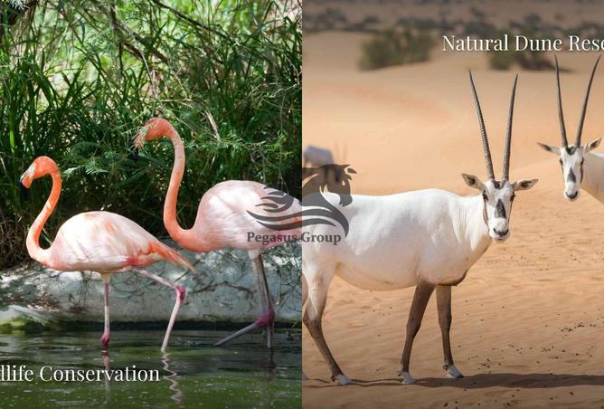 15500188 - صورة العقار 2