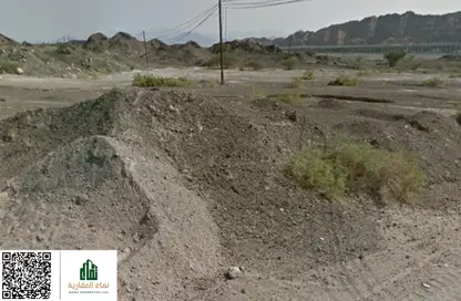 أرض - استوديو للبيع في مصفوت 1 - مصفوت - عجمان