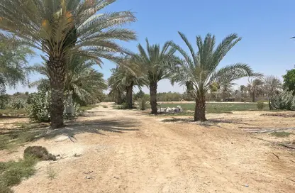 مزرعة - استوديو للبيع في الخاتم - أبوظبي