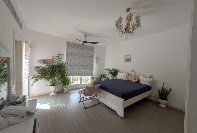 14964210 - Property Image 3
