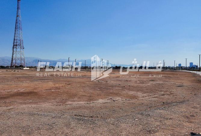 15812084 - Property Image 3