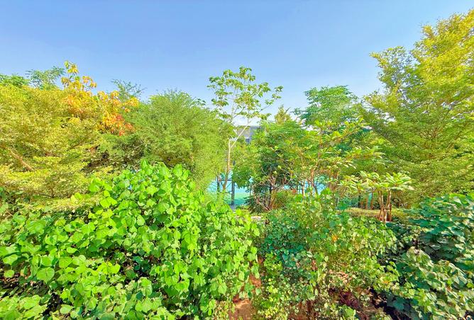 15263290 - Property Image 3