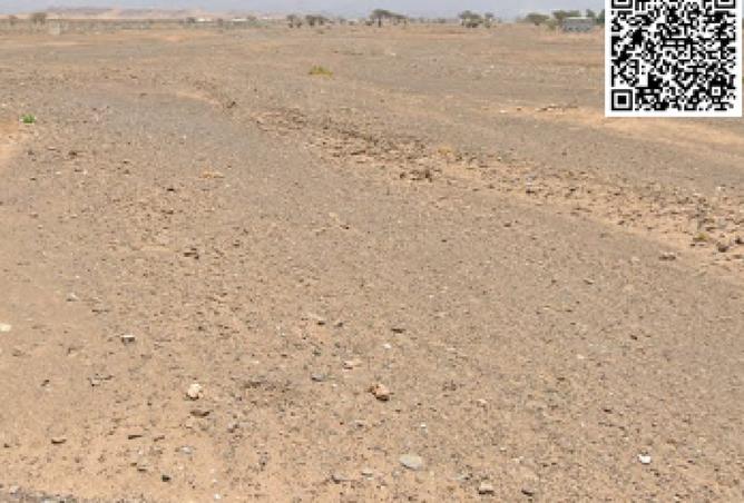 15935566 - Property Image 2