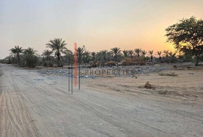 15807177 - Property Image 2