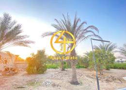 Farm for sale in Liwa - Abu Dhabi