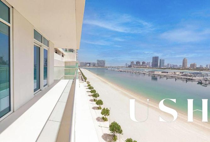 16006866 - Property Image 3