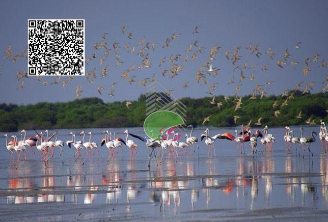 15516010 - صورة العقار 3