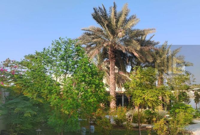15434200 - صورة العقار 3