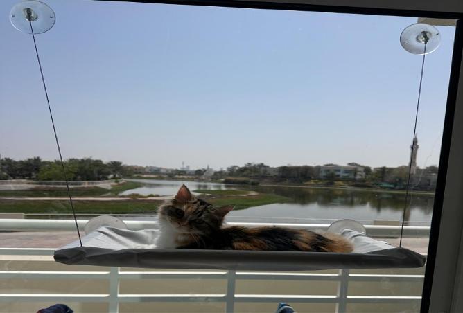 15257234 - الصورة الرئيسية للعقار