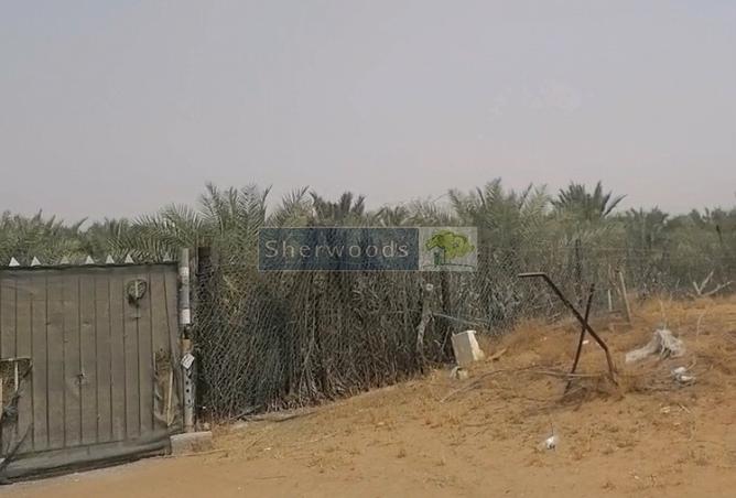 15649617 - Property Image 3