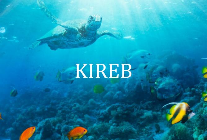 15846705 - صورة العقار 3