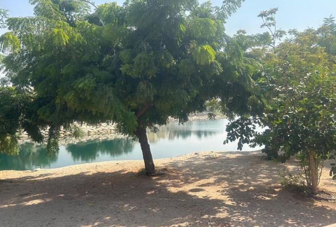 15583677 - Property Image 2