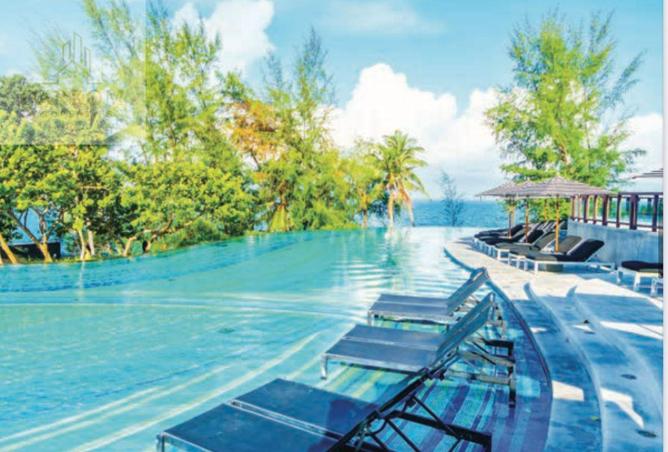 15997399 - Property Image 3