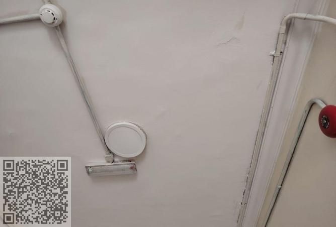 16016077 - صورة العقار 3