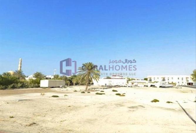 13259726 - صورة العقار 3