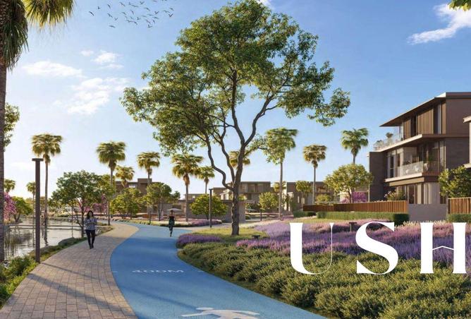 16087265 - Property Image 3