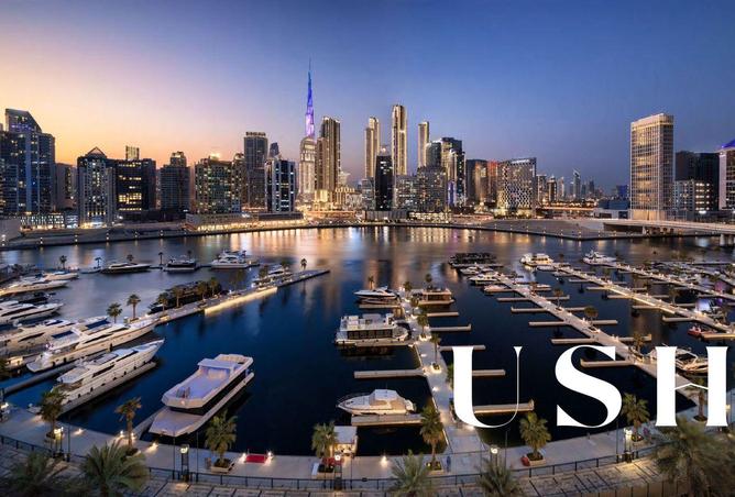 15675890 - صورة العقار 3