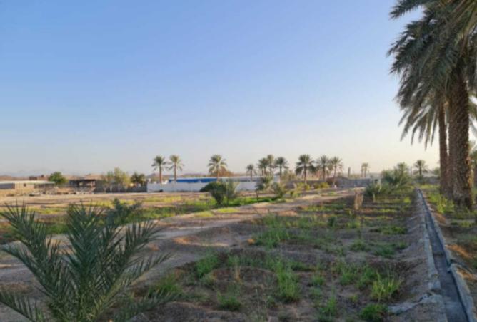 15981588 - Property Image 3