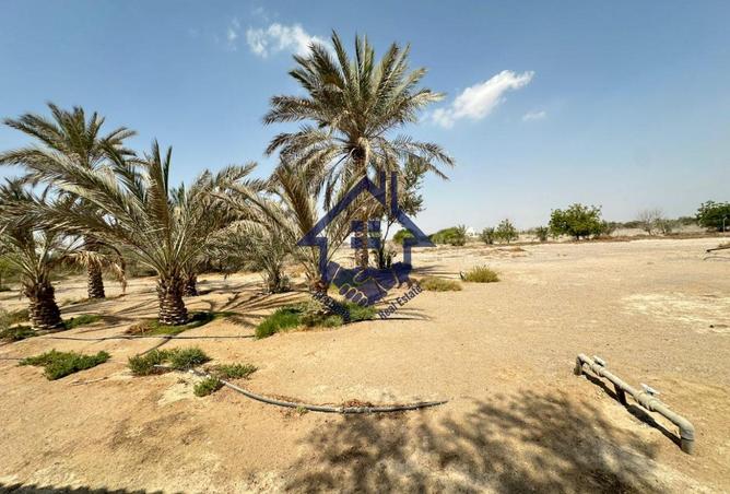 15636233 - صورة العقار 2