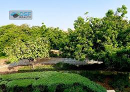 Garden image for: Townhouse - 3 bedrooms - 5 bathrooms for rent in Malibu - Mina Al Arab - Ras Al Khaimah, Image 1