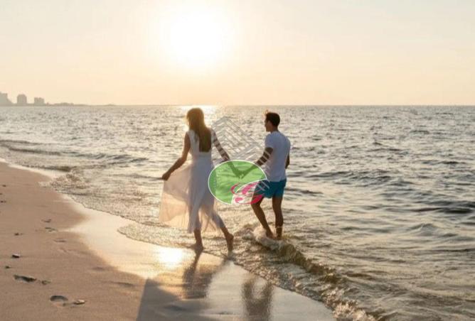 15768290 - صورة العقار 3