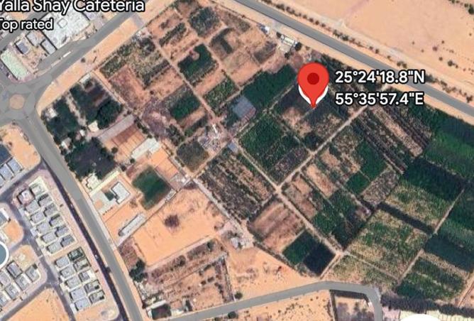 15517551 - صورة العقار 2