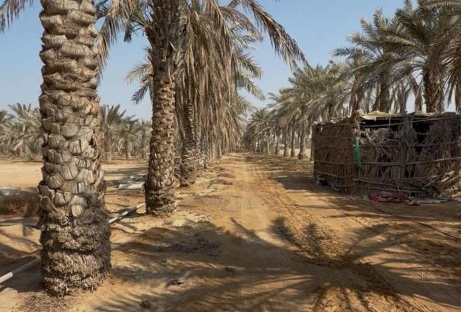 15940551 - Property Image 2