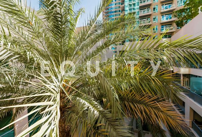 16106262 - Property Image 3