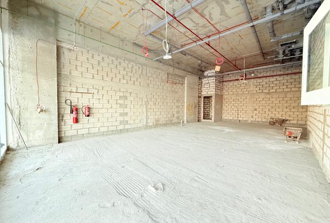 16073566 - Property Image 3