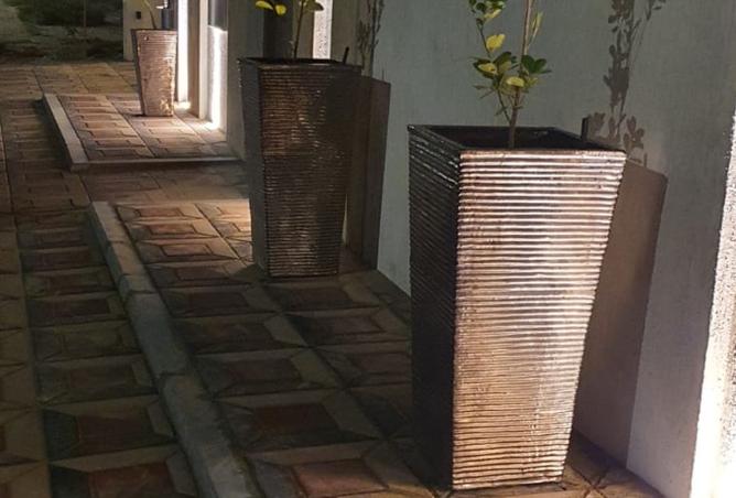 15974624 - Property Image 2