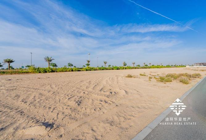 15819849 - Property Image 2