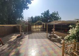 Villa - 5 bedrooms - 6 bathrooms for rent in Al Rawda 2 Villas - Al Rawda 2 - Al Rawda - Ajman