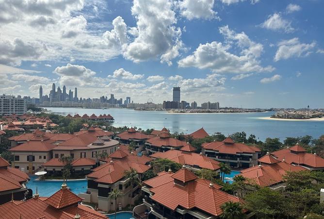 15646034 - Property Image 2