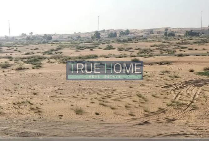 16065803 - Property Image 3