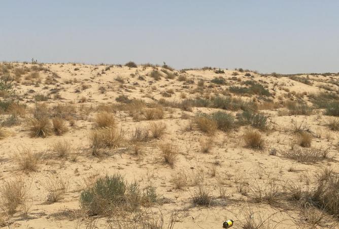 15577564 - صورة العقار 2