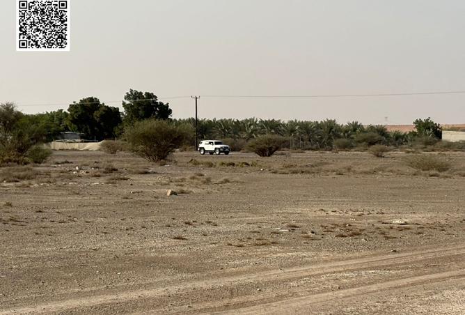 15596129 - Property Image 2