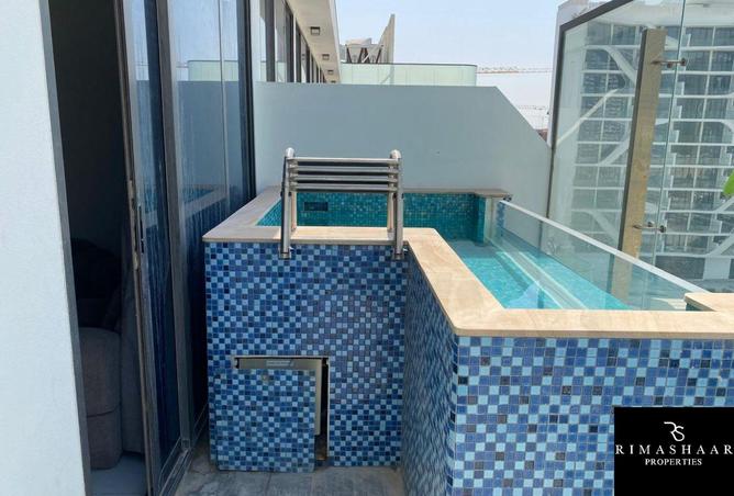 15317069 - Property Image 3