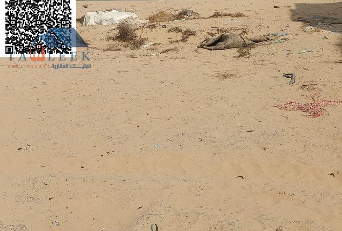 15564818 - الصورة الرئيسية للعقار