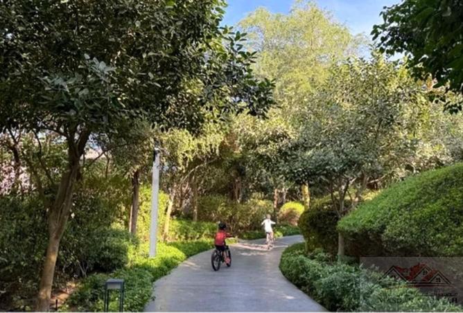 15697045 - صورة العقار 2