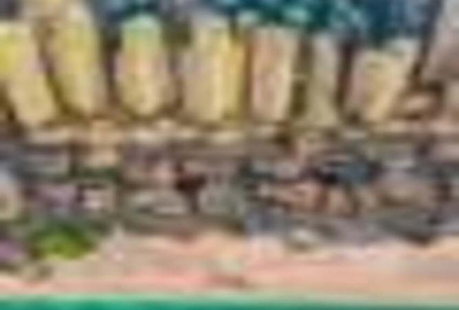 15859050 - صورة العقار 2