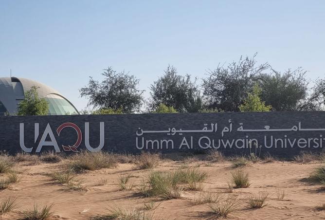 15832613 - Property Image 2