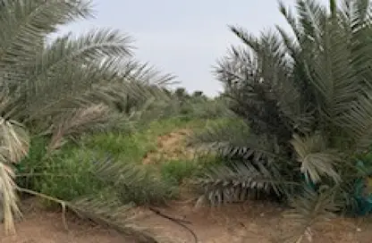 مزرعة - استوديو للبيع في الخزنة - العين