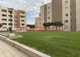 Apartment - 3 bedrooms - 3 bathrooms for sale in Manara - Badrah - Dubai Waterfront - Dubai
